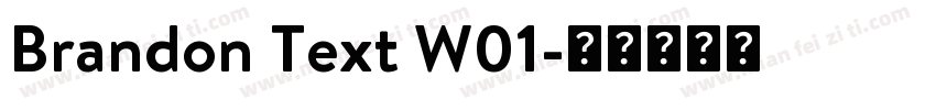Brandon Text W01字体转换